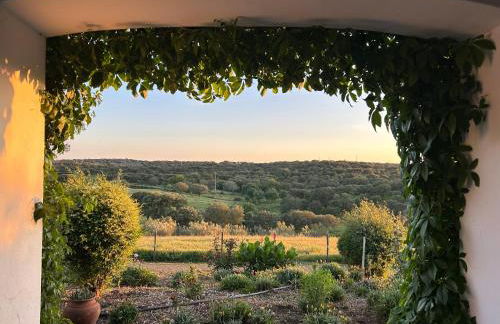 Herdade das Pintas - Foto 4