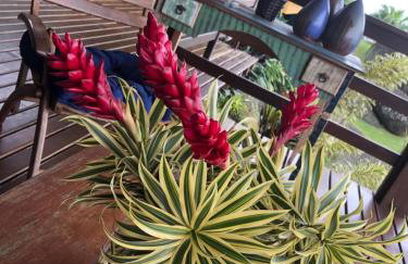 Casa com vista para o mar! - Foto 38