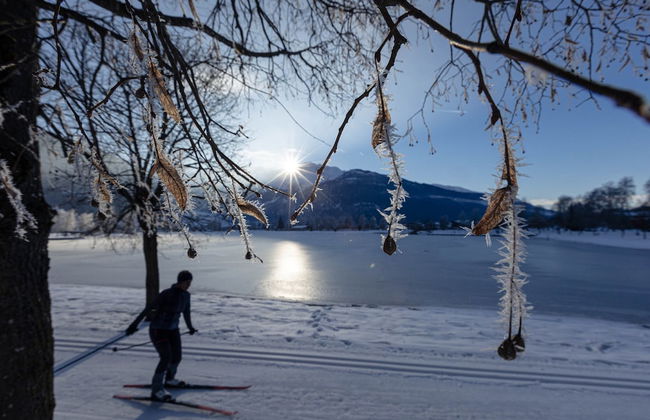 Superior Ferienhaus # 4C mit Sauna - Foto 16