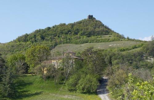 Pietra Corva - Monticello Apartments - Photo 12