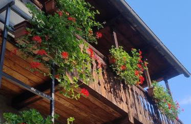 Cà d'Elsa - Foto 12