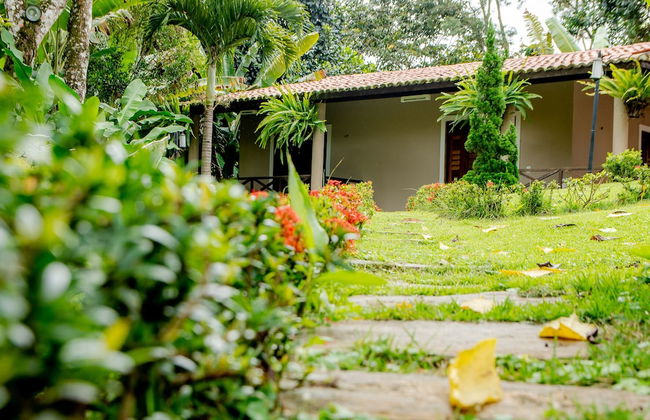 Hotel Cantinho Das Flores - Photo 49