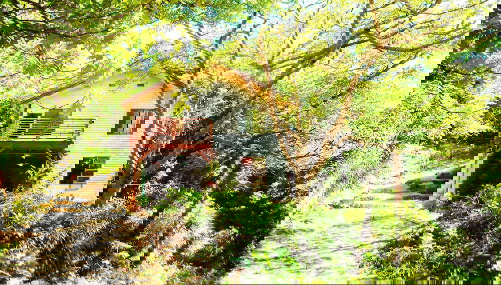 Private Lodge COTENCHI - Foto 1, Imagen principal