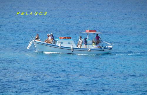 Pelagos Studios - Foto 136