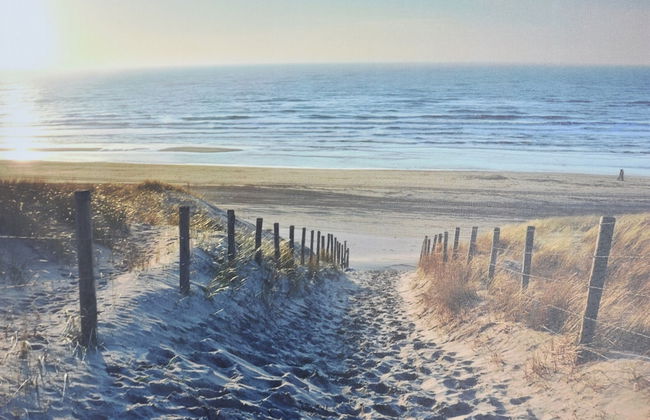 Elegant Studio Near Beach - Photo 20