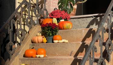 Williamsburg Design Apartment - Photo 4