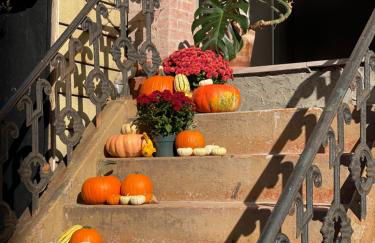 Williamsburg Design Apartment - Foto 4