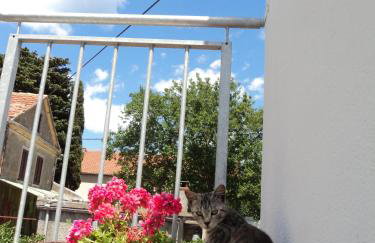 Apartment Lordanic Zaglav, Dugi otok - Foto 26