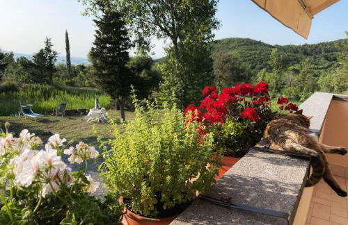 Villa Simonetta - Foto 30