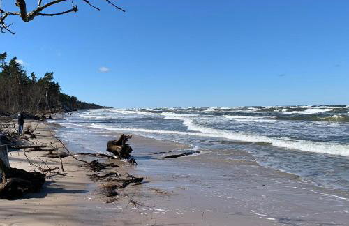 Apartament – 3 pokojowe dwupoziomowe mieszkanie z ogrodem - Foto 7