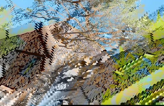 Coconut Apart - Foto 1