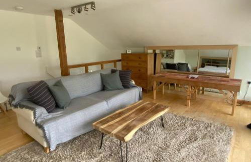 Little Chi - Photo 21