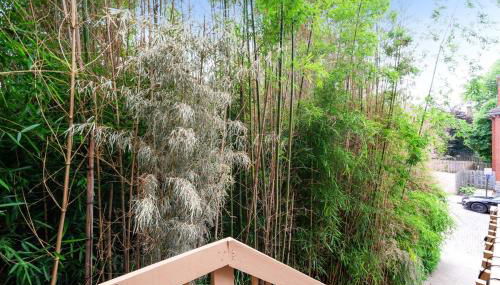 Bamboo Retreat- Private Parking -New Reno -Central - Foto 3, Garden, Garden view