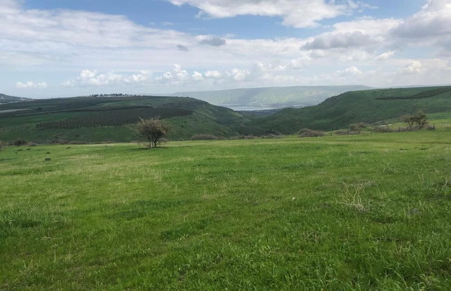 Zimmer BaSadot - Foto 28