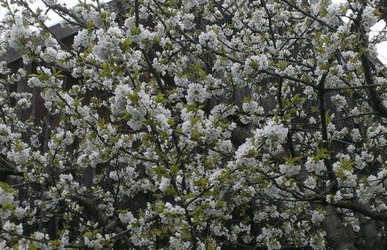 Appartementhaus Elisabeth Winklhofer - Foto 70