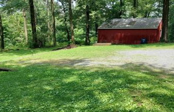 Forest View - Foto 8