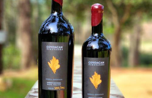 Luxury Napa Vineyard Estate 15 min from St. Helena - Foto 75