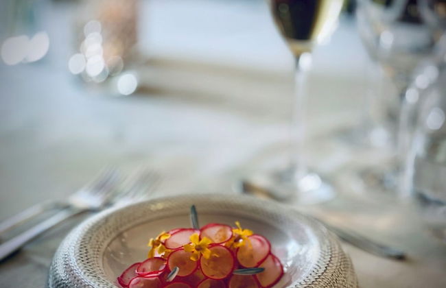 Tree Hotel - Foto 39