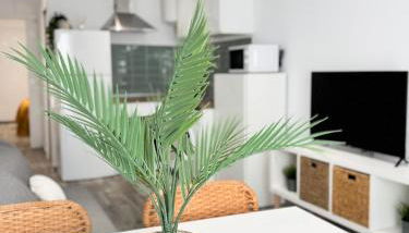 Apartamento La Sal Centro - Foto 5