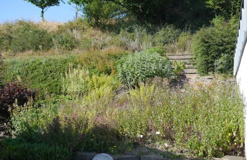 Eifel-Ferienhaus Lavendel - Photo 44