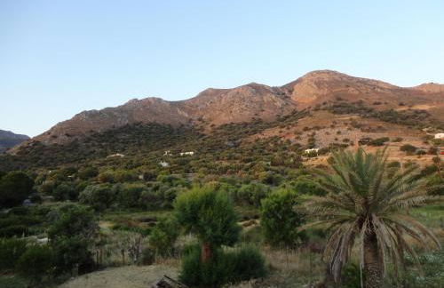 Pavlos Rooms - Foto 39