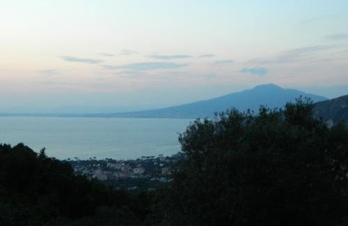 Gli Ulivi Agriturismo - Foto 158