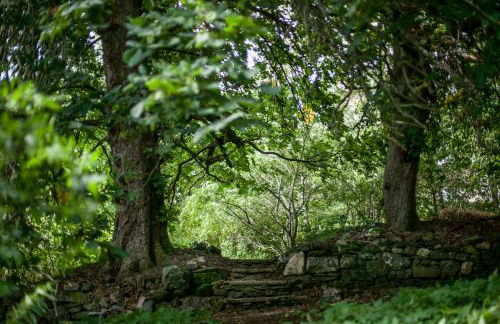 Beautiful Listed Mansion with incredible woodland views - Photo 12