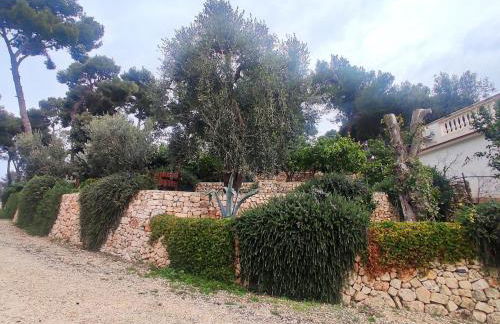 Lunamora 4 - Foto 30