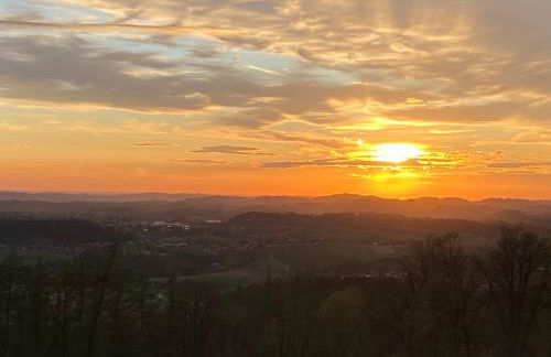 Berg-Panorama-Ferienwohnungen Gut-Lichtenau - Foto 62