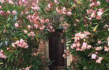 Agriturismo La Palazzina - Foto 36