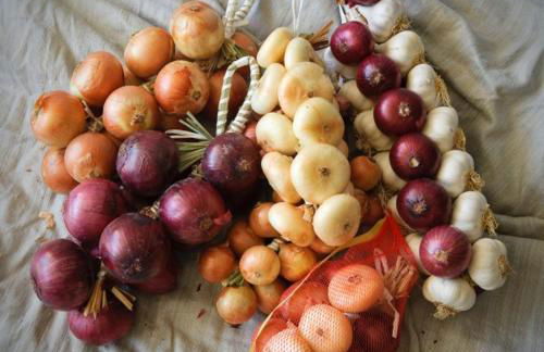 La Residenza di Bacco - Foto 6