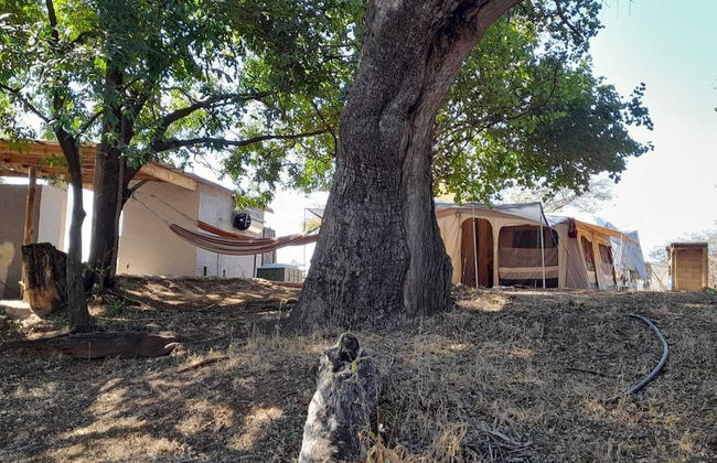 Bushriver Lodge - Foto 49