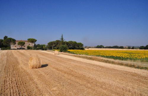 B&B Il Molinello - Foto 13