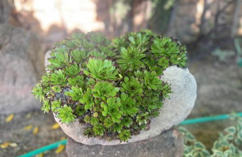 Casa Rural Entre Dos Aguas - Photo 4