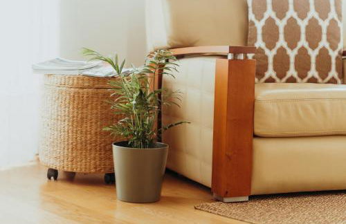 RACIA Lodges - Apartment - Foto 13