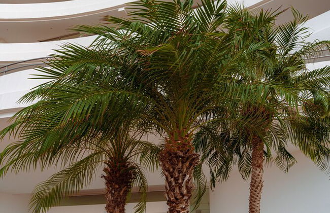 Karibao Resort Town - Foto 62