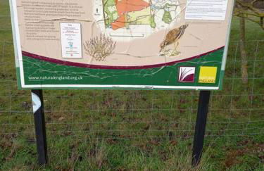 Suffolk View Apartment - Foto 8