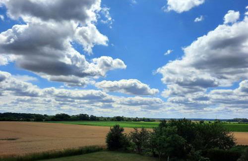 Vierseitenhof Hasenfelde - Ferienwohnung Feldblick - Foto 24