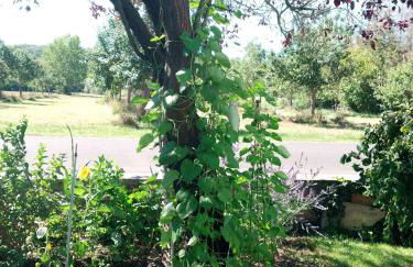 Ferienwohnung Schwalbennest - Foto 46