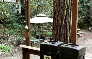 Private Glamping Getaway in the Redwoods near Santa Cruz, California - Foto 70