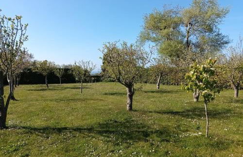 Maison de vacances vue mer et campagne - Photo 10