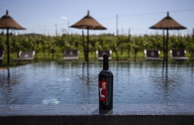 Trere Agriturismo - Photo 50