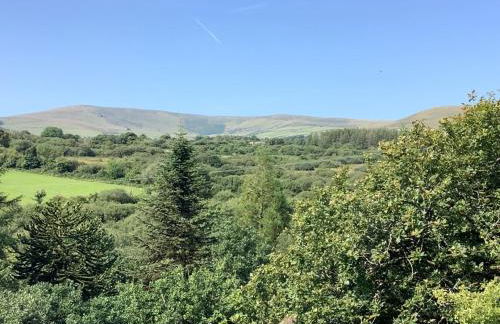 Penrallt-Fach Traditional Welsh cottage Pembrokeshire - Foto 19