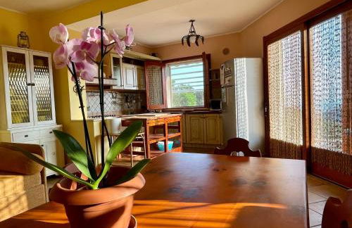 Villa Felici Tropea collina vista mare - Foto 21