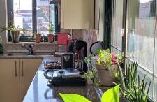 HOME SWEET HOME Διαμέρισμα 50τμ σε ήσυχη περιοχή - Foto 17