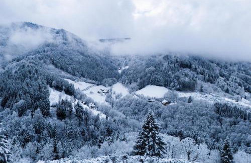 Haldenschwarzhof - Foto 1