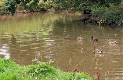 Mallards Barn on a rural farm - Foto 25