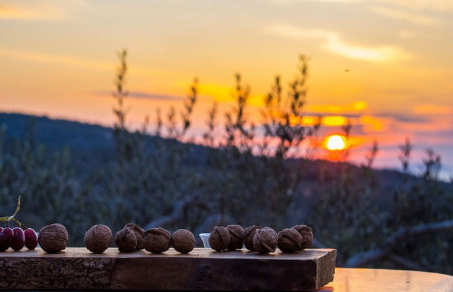 Villa Roza - One Bedroom With Swimming Pool - Photo 32