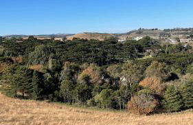 Cabanas Jardim de Tereza - Foto 72