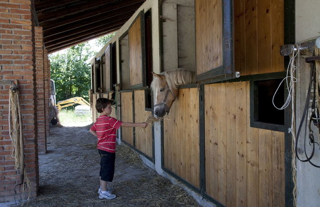 Agriturismo Cascina Papa Mora - Foto 25